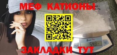 прущие грибы Обнинск
