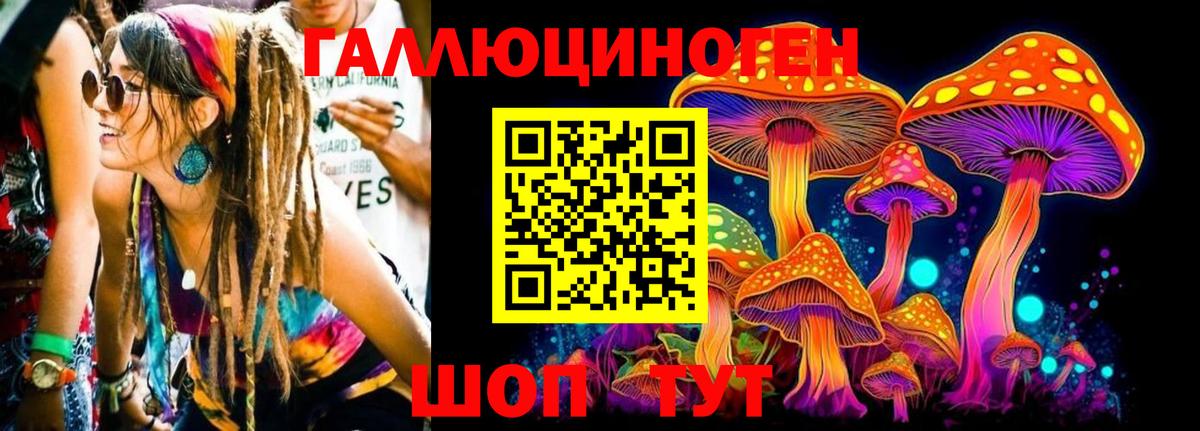 Саратов  Галлюциногенные грибы Psilocybe  Вход с VPN 